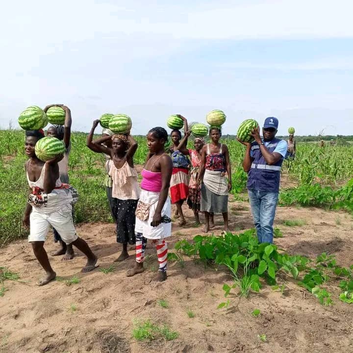 Diversificação de Meios de Subsistência e Educação Ambiental para Mulheres Rurais — imagem 5