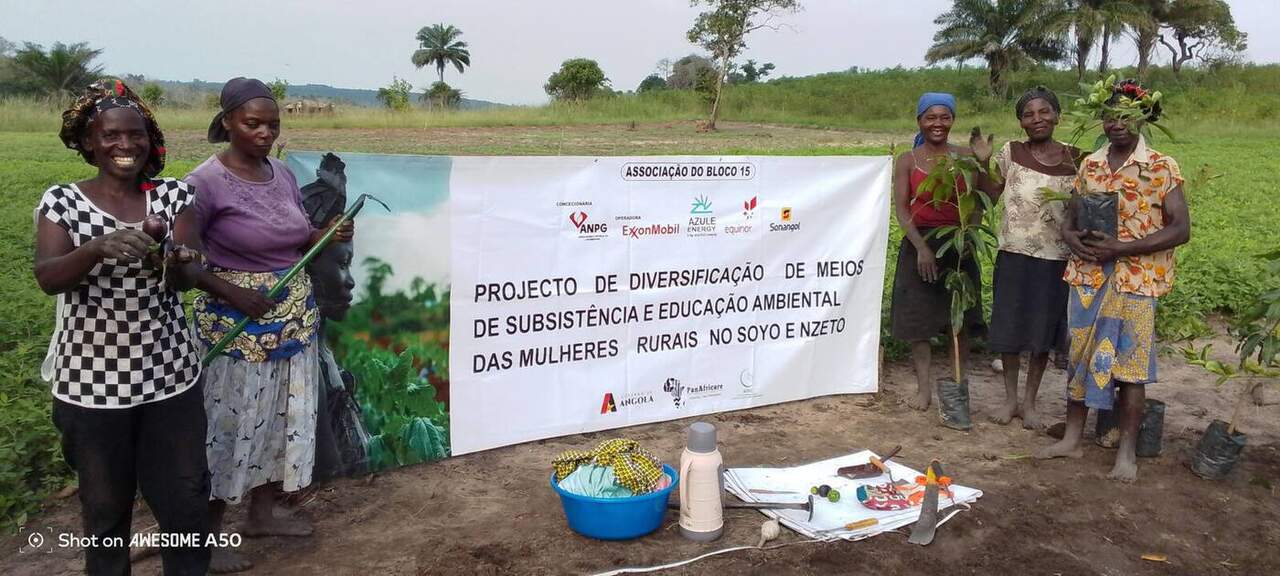 Vegetação Ribeirinha
